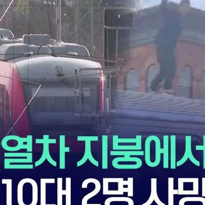 이건 자연사 '열차 서핑'