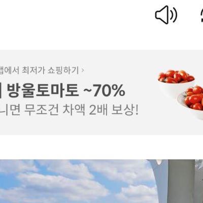 저출산 조장에 관한 신박한 논리
