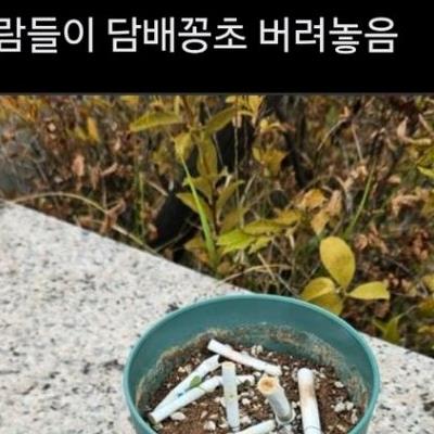 회사 옥상에 화분 뒀더니 생긴 일 .jpg
