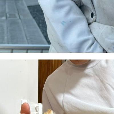 일본 트위터에서 난리난 시골 치와와.jpg