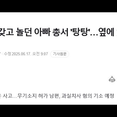 2세 아기가 가지고 놀던 아빠 총에 엄마 사망