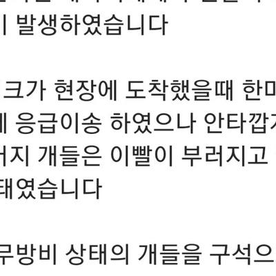 개한테 bb탄 쏜 사건 쭉 보면 더 어이없음 jpg