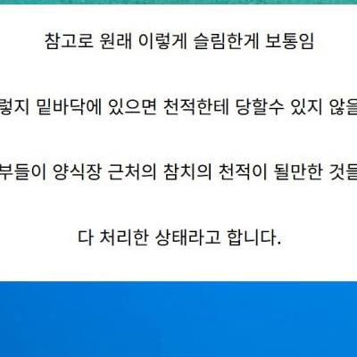 인간 덕분에 꿀빨고 있는 생물.jpg