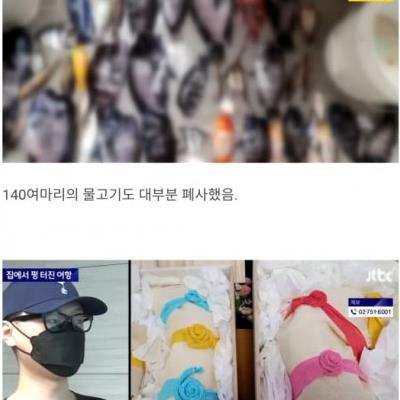 집에서 펑 터진 800L짜리 어항 .jpg