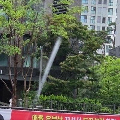 강남 00아파트 플래카드 근황.jpg