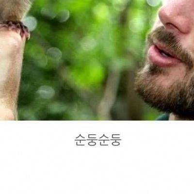 호주 고양이 200만마리 살처분 그 후.