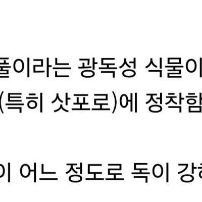 약혐) 일본 홋카이도 근황.jpg