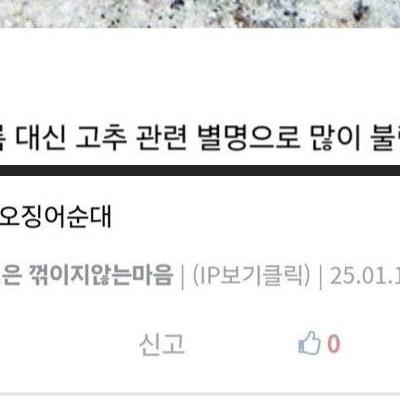 중고딩때 야추 큰 애들 특징