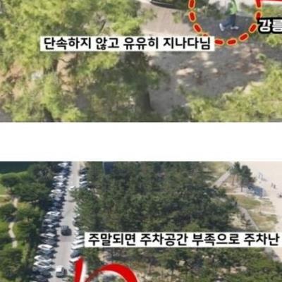 강릉시 해수욕장 공영주차장 사유화중인 상인들.jpg