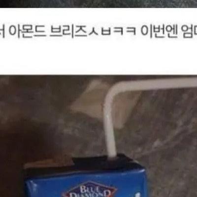 새벽에 몰래 복숭아 먹는중 jpg