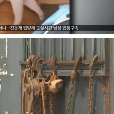 진돗개 분양 받고 잡아먹은 70대.jpg