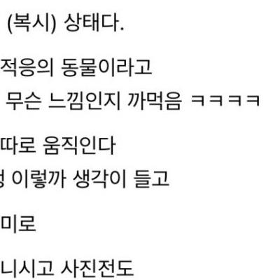눈밑 지방제거술 후기ㄷㄷㄷㄷ