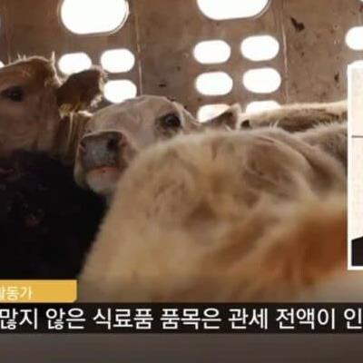 트럼프 관세로 미국이 소래포구화 됨.jpg