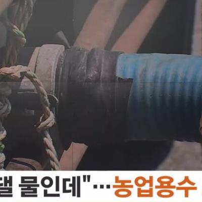 요즘 물도둑 근황.jpg