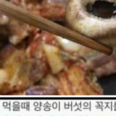 양송이버섯 안에 생기는 물 정체......