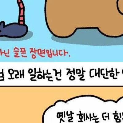 사회생활 하다보면 깨닫는 것들ㅋㅋ