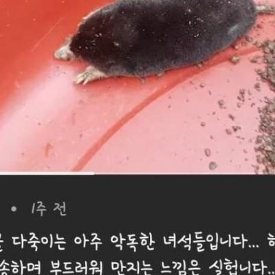대한민국 농사 다 망치는 괴물.jpg