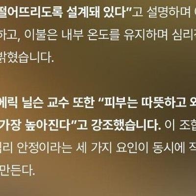 인간이 잘 때 에어컨을 켜고 이불을 덮는 이유