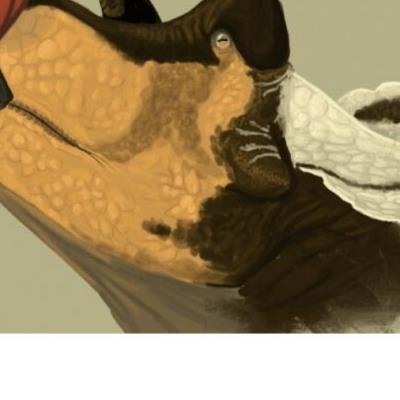 트리케라톱스 복원도 근황.jpg