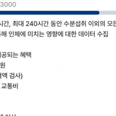 250만원 준다는 알바.jpg