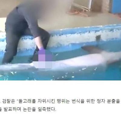 수족관이 고소 당한 이유.
