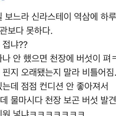 버섯은 덤. 버섯 자라는 4성급 호텔 룸.