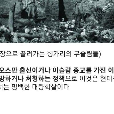 헝가리가 이슬람을 몰아낸 방법.jpg